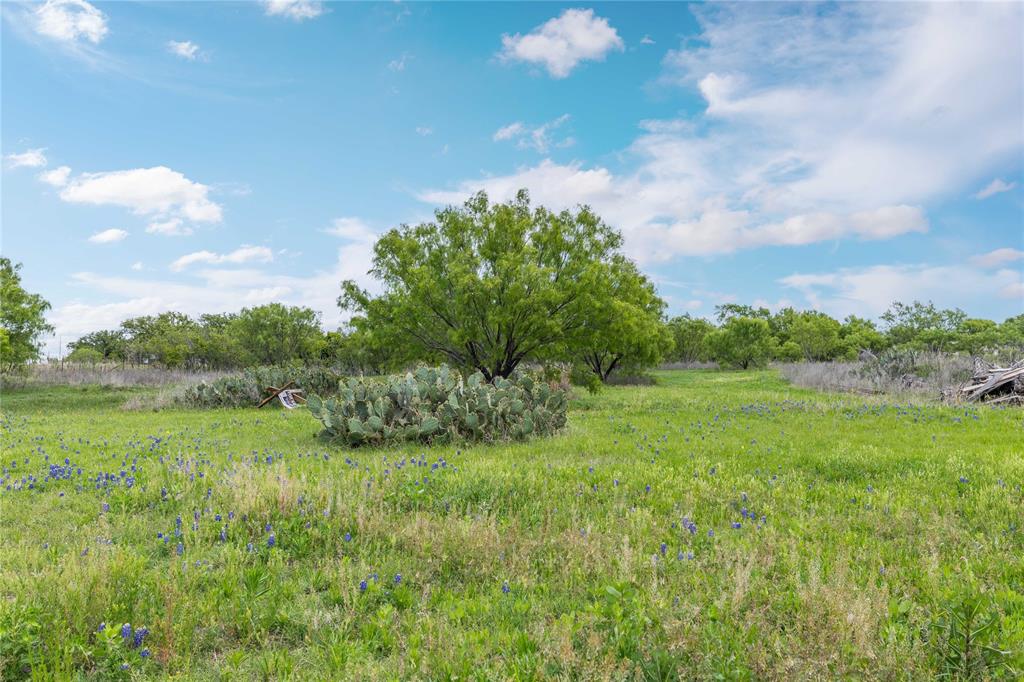 10150 Highway 67 Bangs, TX 76823 - Photo 32 of 39