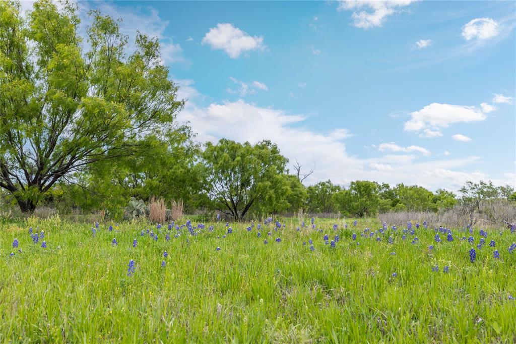 10150 Highway 67 Bangs, TX 76823 - Photo 33 of 39
