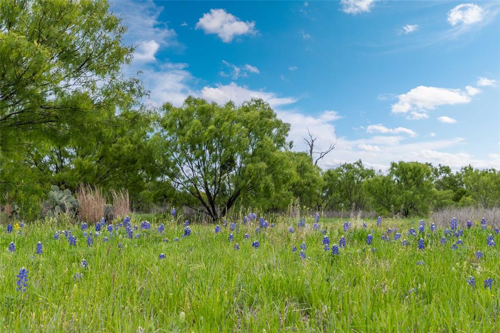 10150 Highway 67 Bangs, TX 76823 - Photo 34 of 39