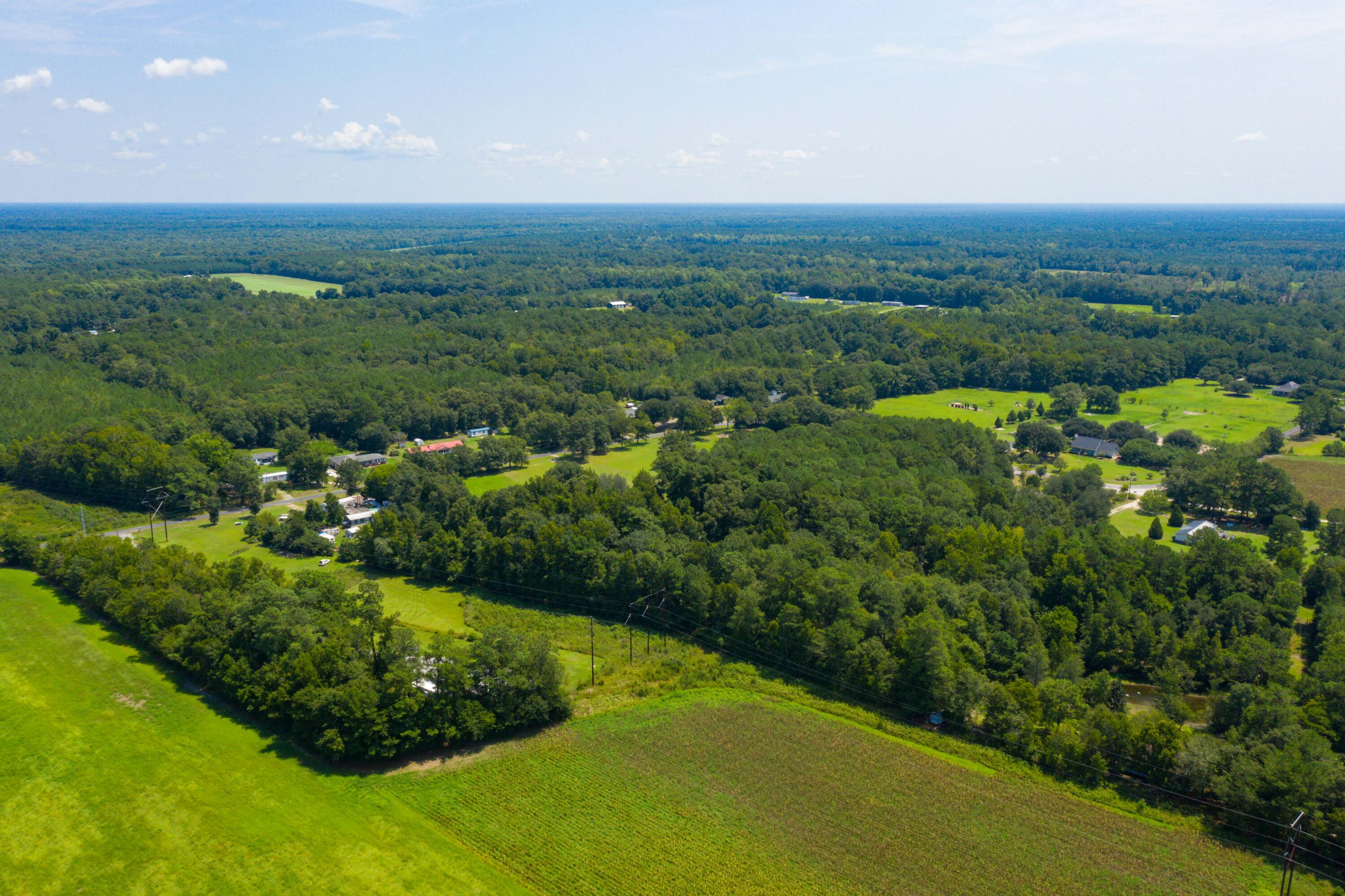 0 Betaw Road St. Stephen, SC 29479 - Photo 20 of 21 DJI_0793