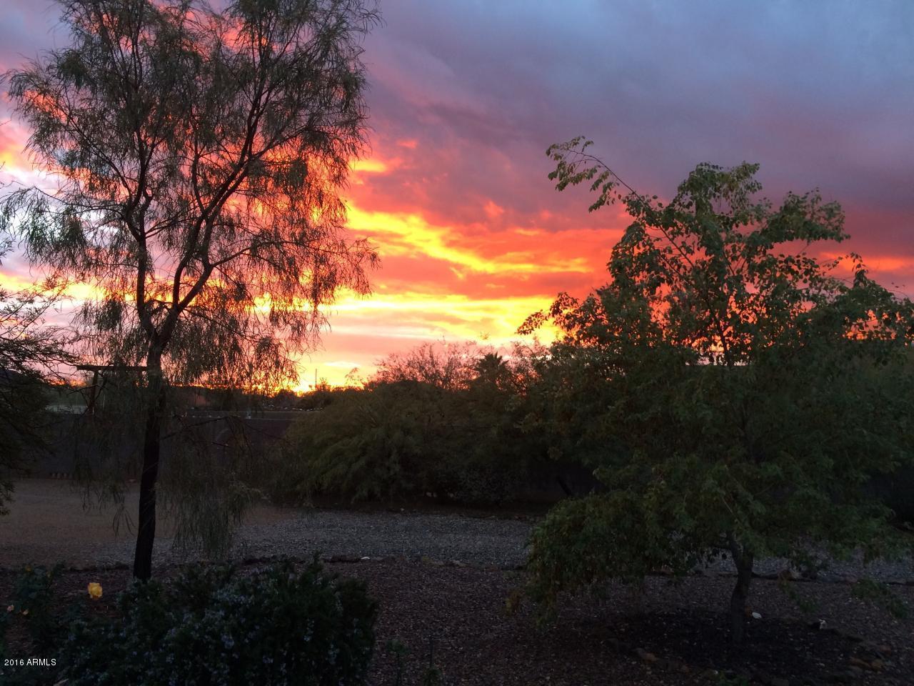 323 West Irvine Road Phoenix, AZ 85086 - Photo 35 of 35 IMG_3335