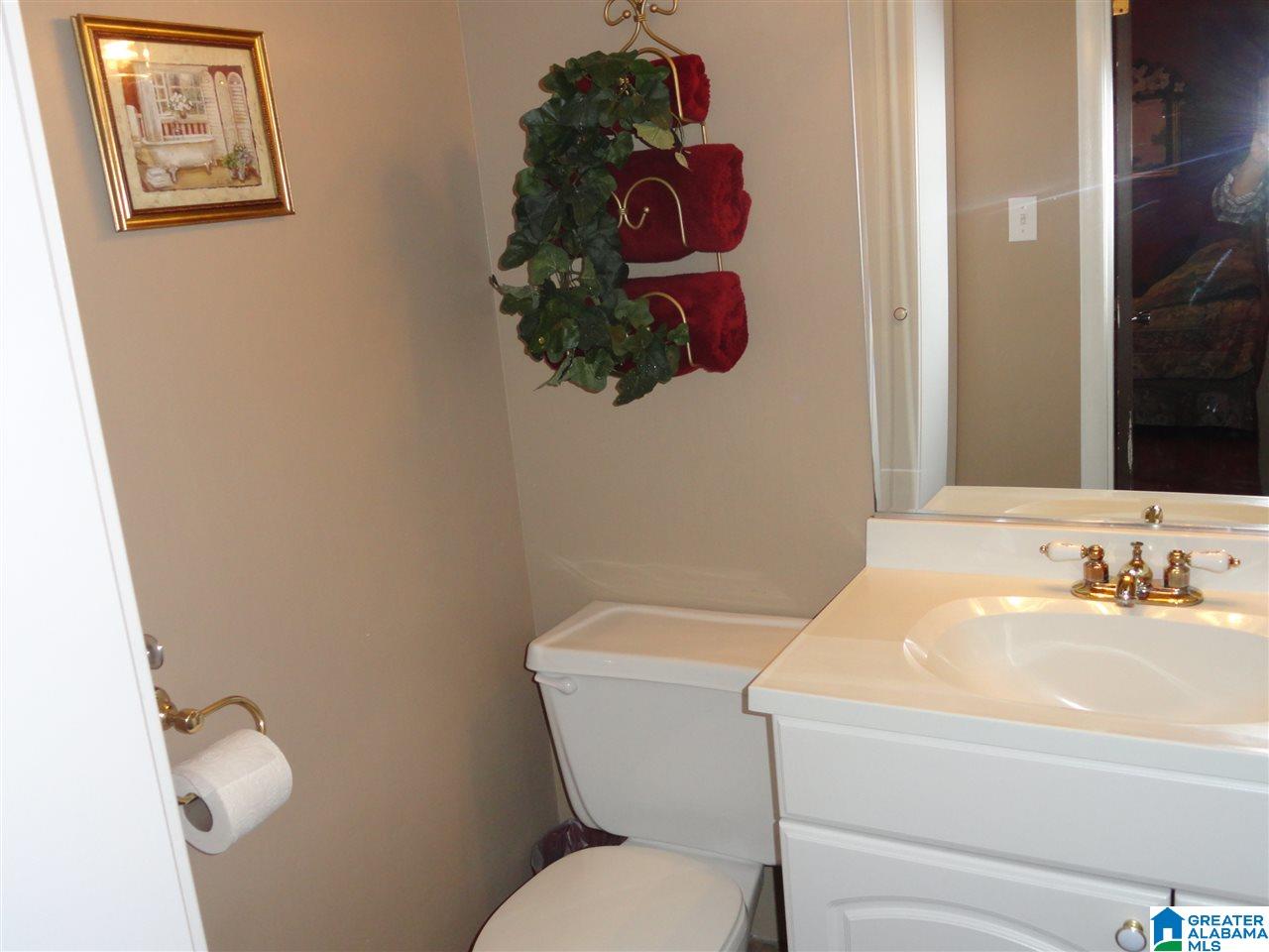 2872 Woodruff Mill Road Adamsville, AL 35005 - Photo 13 of 24