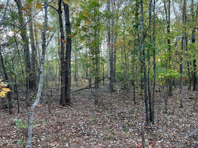 a view of a yard with a tree