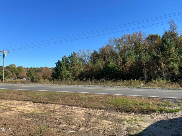 a view of a forest with trees in the background