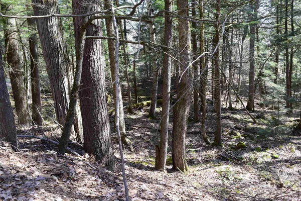 $15,500 | Lot 14 Hanover Drive, Woodsville, NH 03785