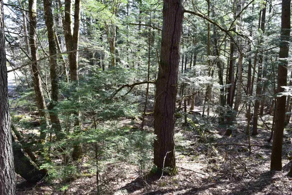 $15,500 | Lot 14 Hanover Drive, Woodsville, NH 03785