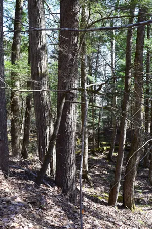 $15,500 | Lot 14 Hanover Drive, Woodsville, NH 03785