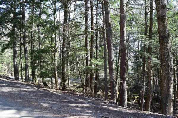 $15,500 | Lot 14 Hanover Drive, Woodsville, NH 03785