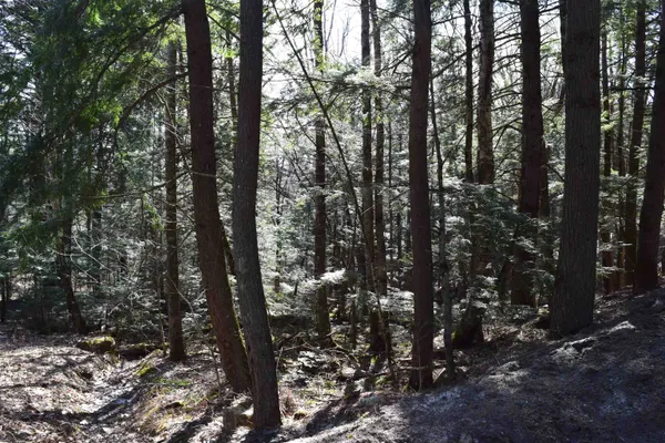 $15,500 | Lot 14 Hanover Drive, Woodsville, NH 03785