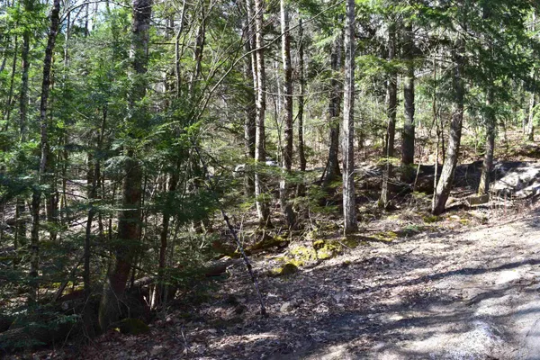 $15,500 | Lot 14 Hanover Drive, Woodsville, NH 03785
