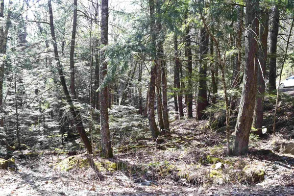 $15,500 | Lot 14 Hanover Drive, Woodsville, NH 03785