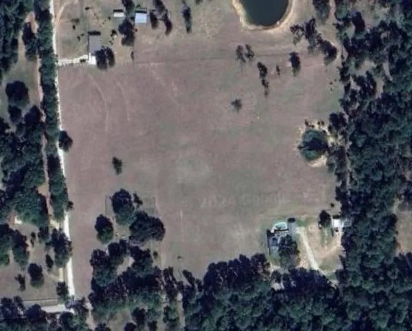 view of a vase of flowers