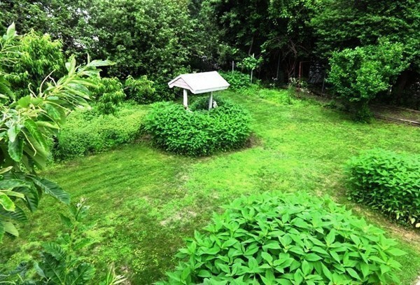 10 Jennifer Road Wakefield, MA 01880 - Photo 16 of 20 Gallery Image 16