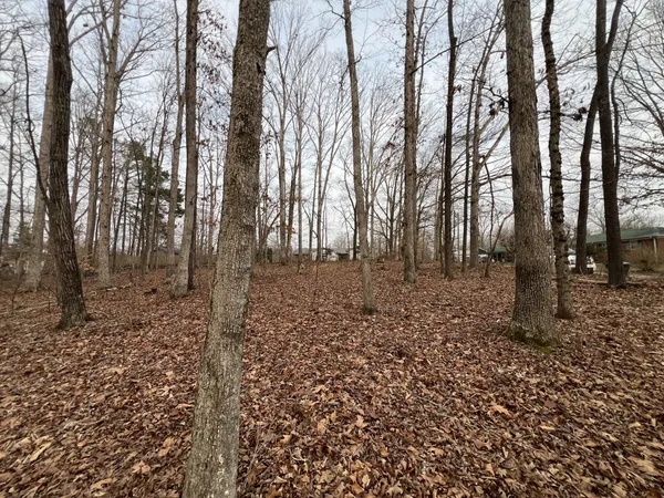 $60,000 | 0 Chestnut Street, Centerville, TN 37033