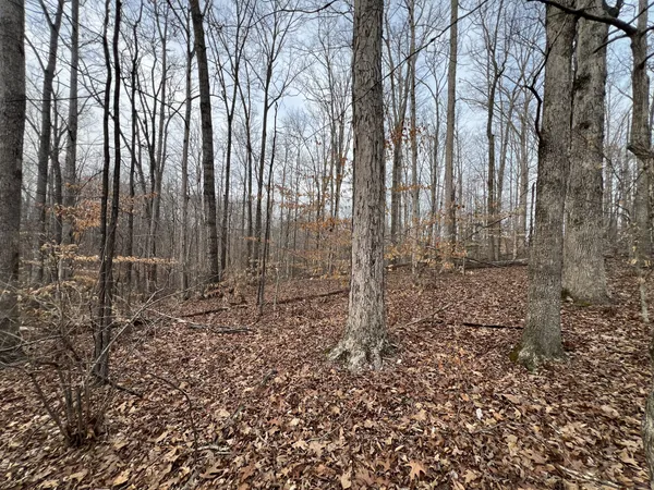 a view of outdoor space with trees