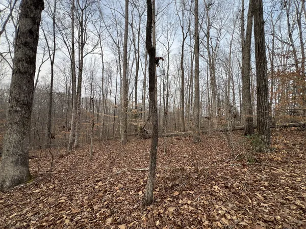 a view of outdoor space with green space