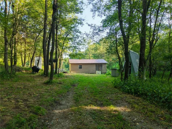 a view of a backyard with large trees