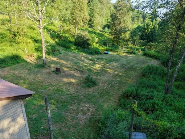 a view of a yard
