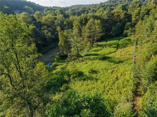 a view of outdoor space and yard