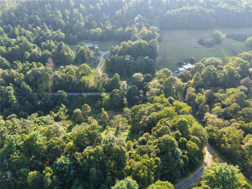 0 North Loop Road Dayton, PA 16222 - Photo 20 of 50 a bunch of flowers