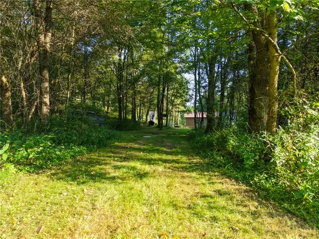 a view of outdoor space with trees all around