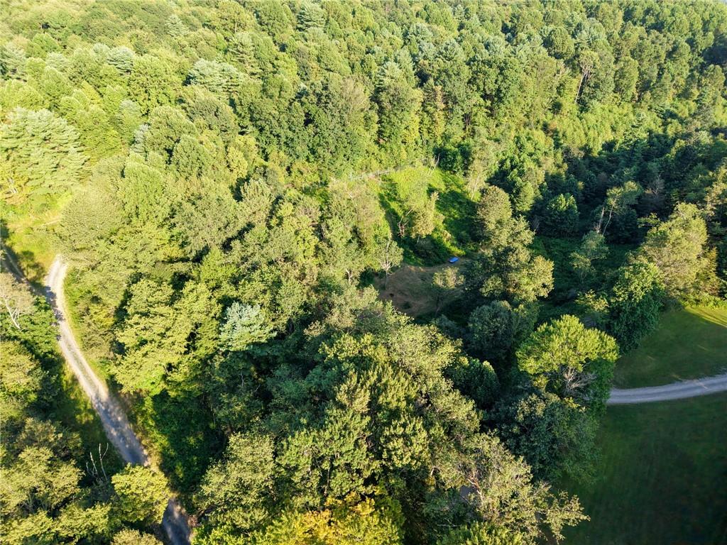 0 North Loop Road Dayton, PA 16222 - Photo 22 of 50 a view of a lush green forest with lots of trees