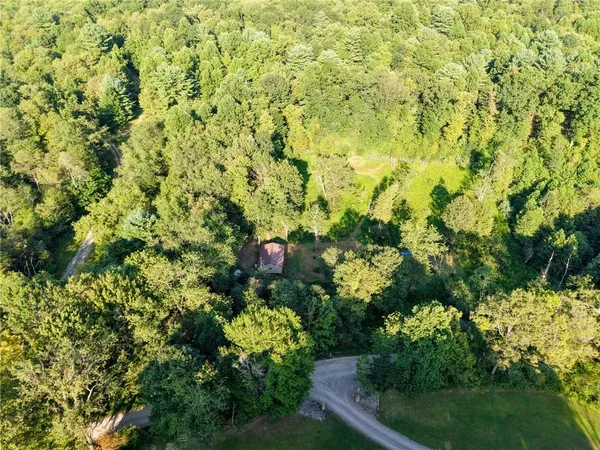 a view of a garden