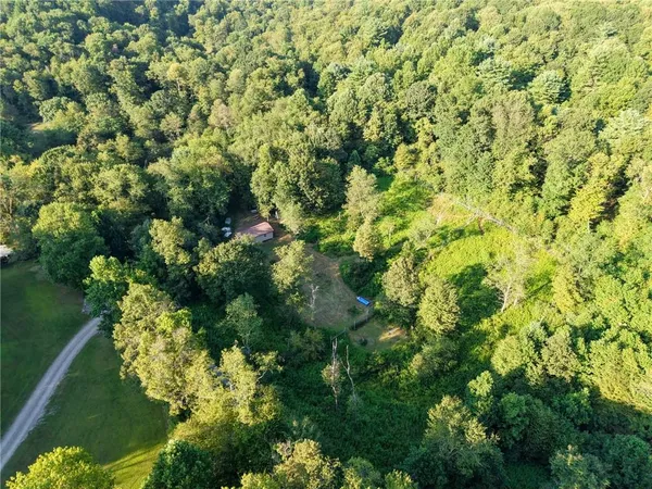a view of a garden