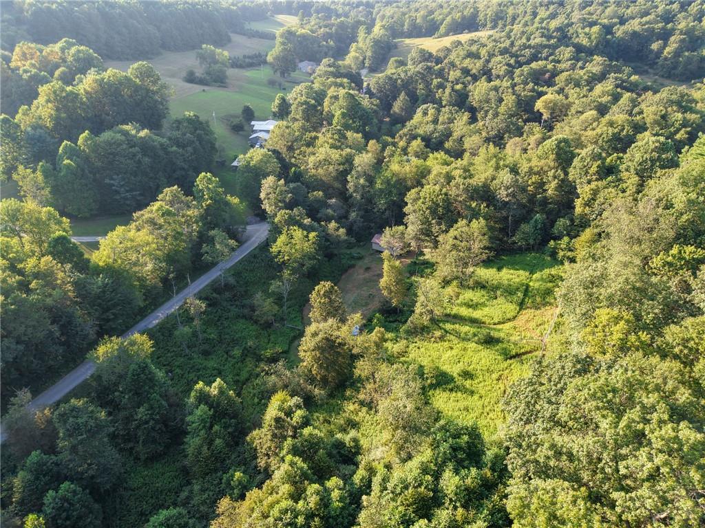 0 North Loop Road Dayton, PA 16222 - Photo 26 of 50 a view of a garden