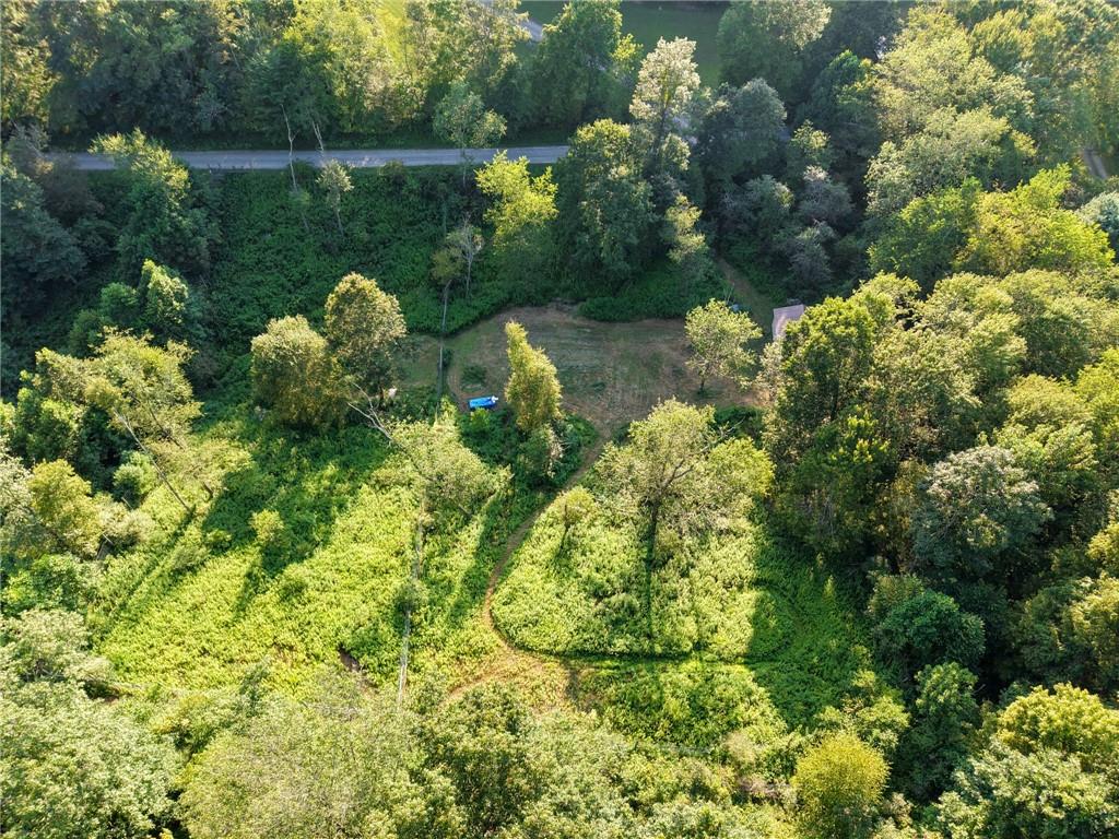 0 North Loop Road Dayton, PA 16222 - Photo 27 of 50 a view of a garden with plants