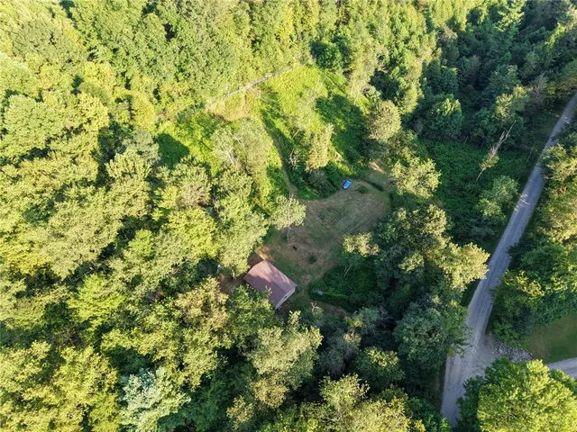 a picture of flowers