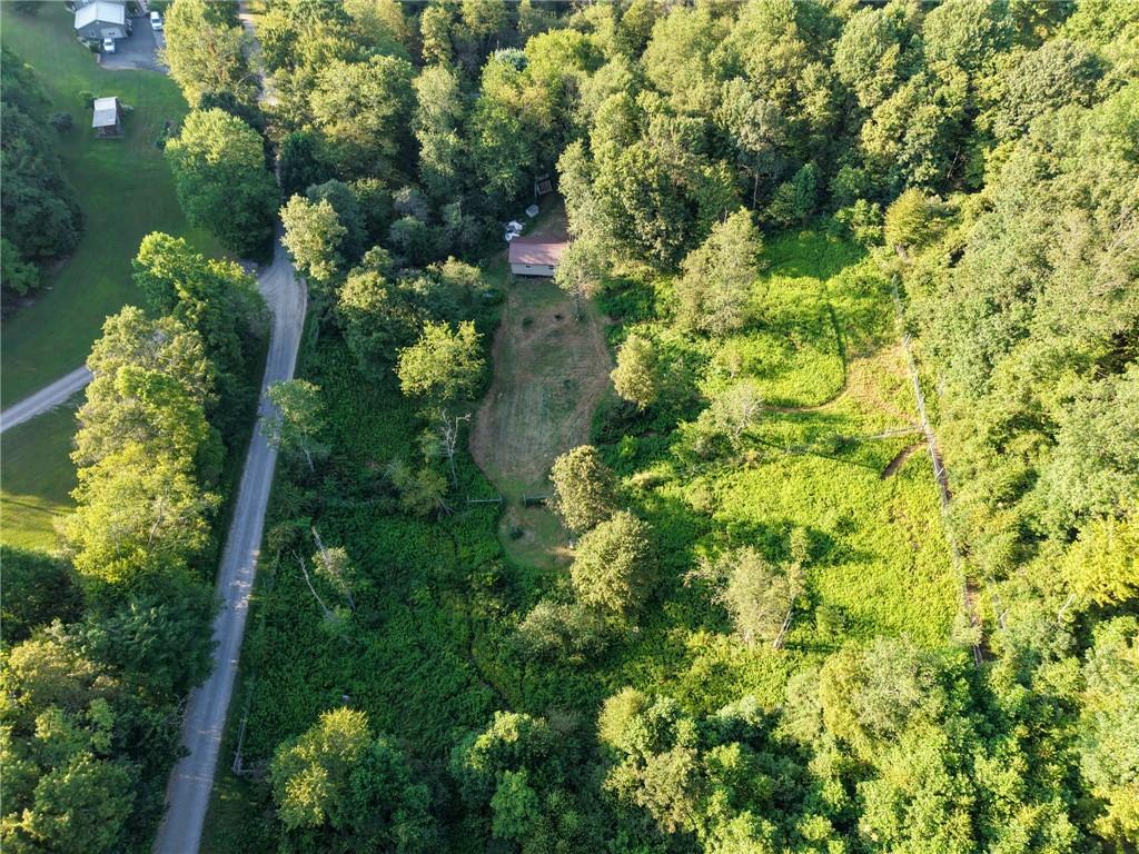 0 North Loop Road Dayton, PA 16222 - Photo 30 of 50 a picture of flowers