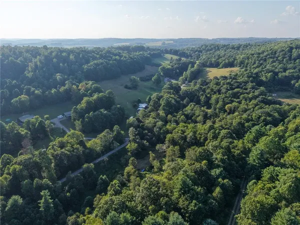an aerial view of houses covered in trees