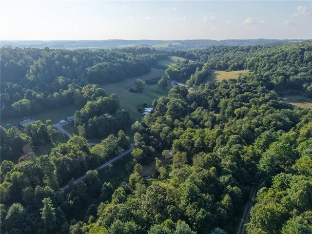 an aerial view of houses covered in trees
