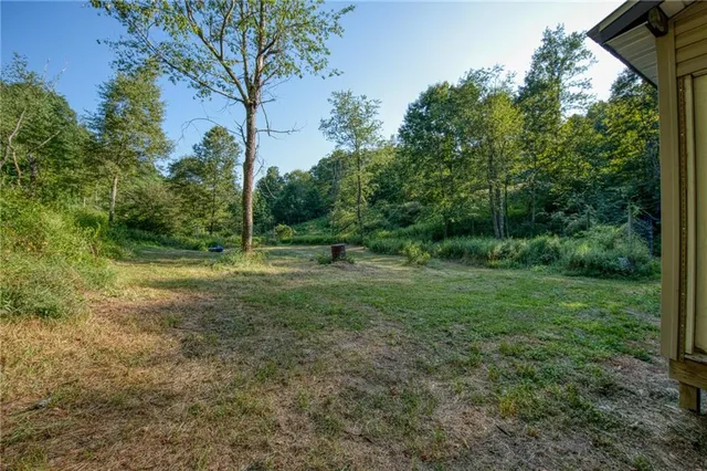 a view of a field with trees in the background