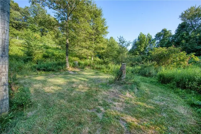 a view of a yard with an outdoor space