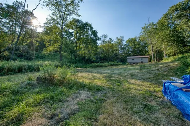 a view of a park with large trees