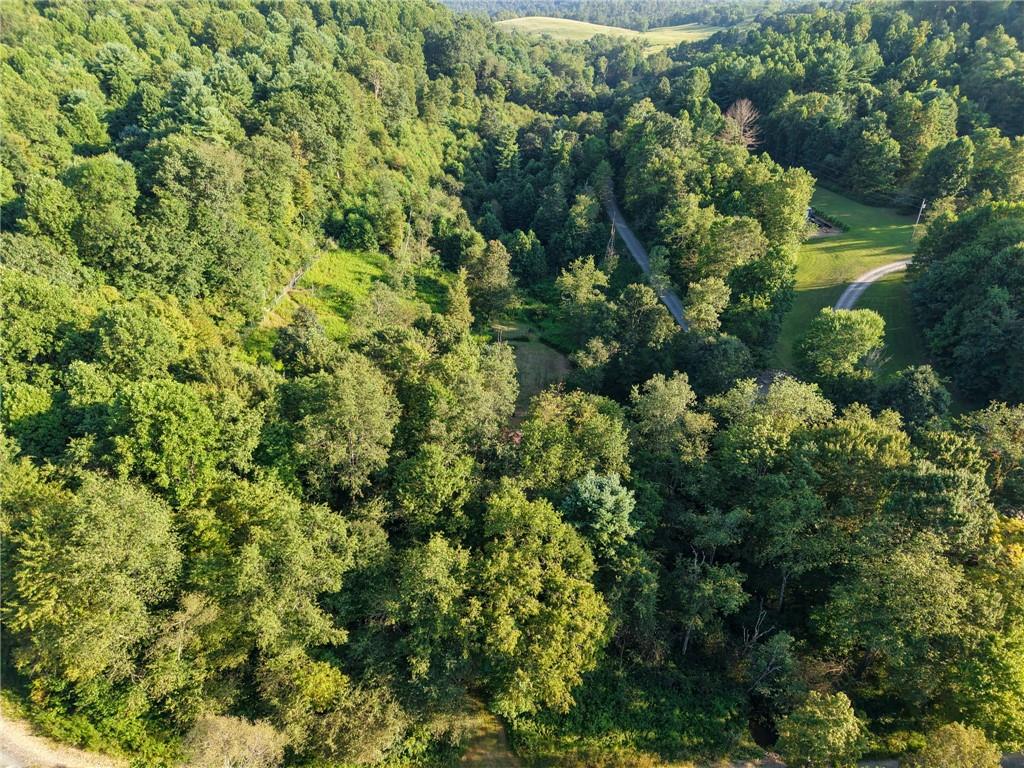0 North Loop Road Dayton, PA 16222 - Photo 48 of 50 an aerial view of residential house with outdoor space and trees all around