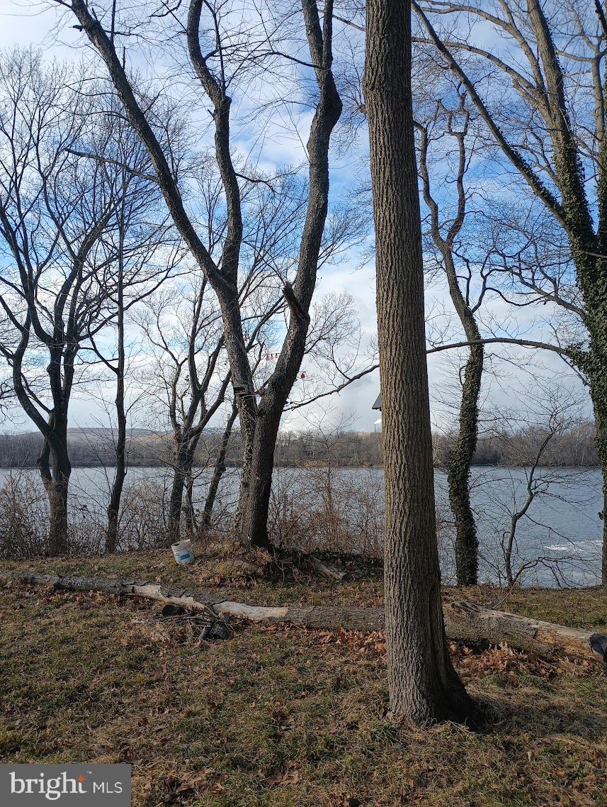 219 Front Street Fieldsboro, NJ 08505 - Photo 38 of 48 a backyard of a house with lots of green space