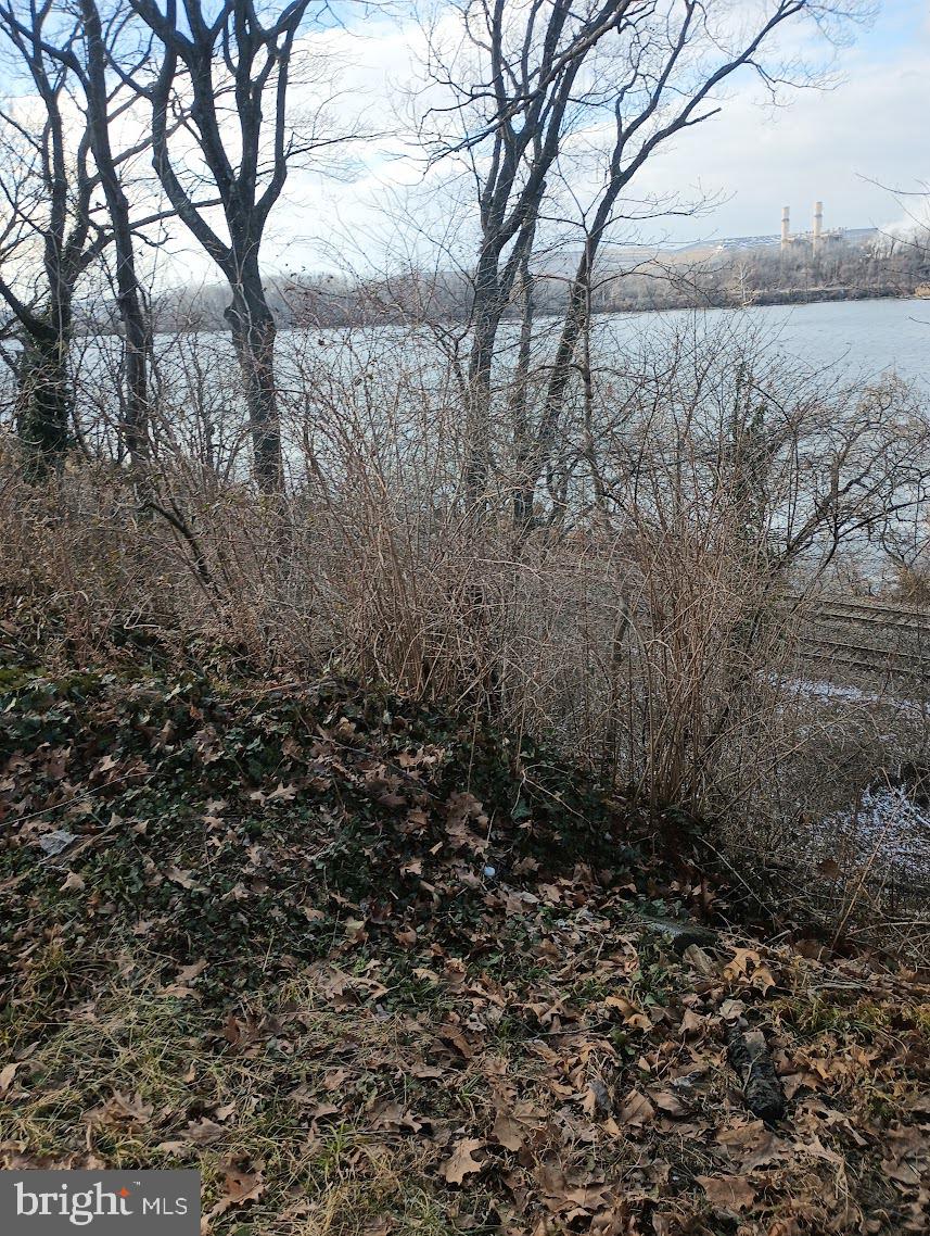 219 Front Street Fieldsboro, NJ 08505 - Photo 41 of 48 a view of a yard