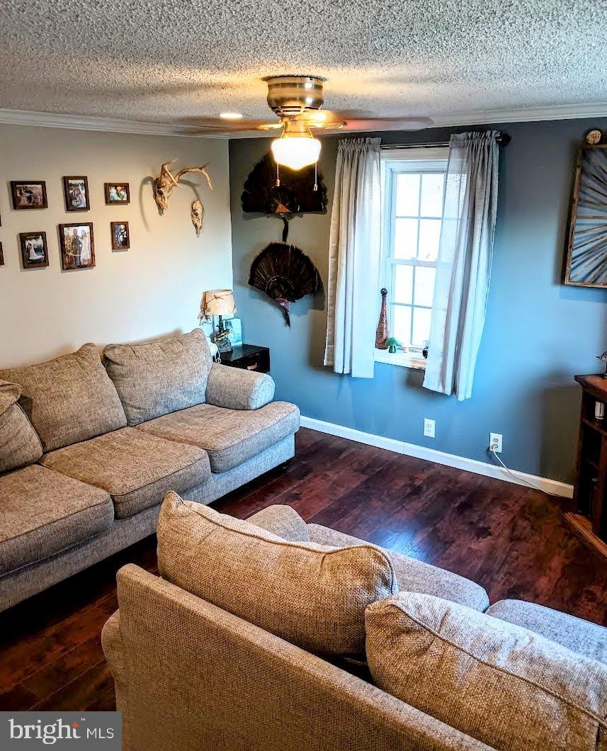 219 Front Street Fieldsboro, NJ 08505 - Photo 6 of 48 a living room with furniture and a large window