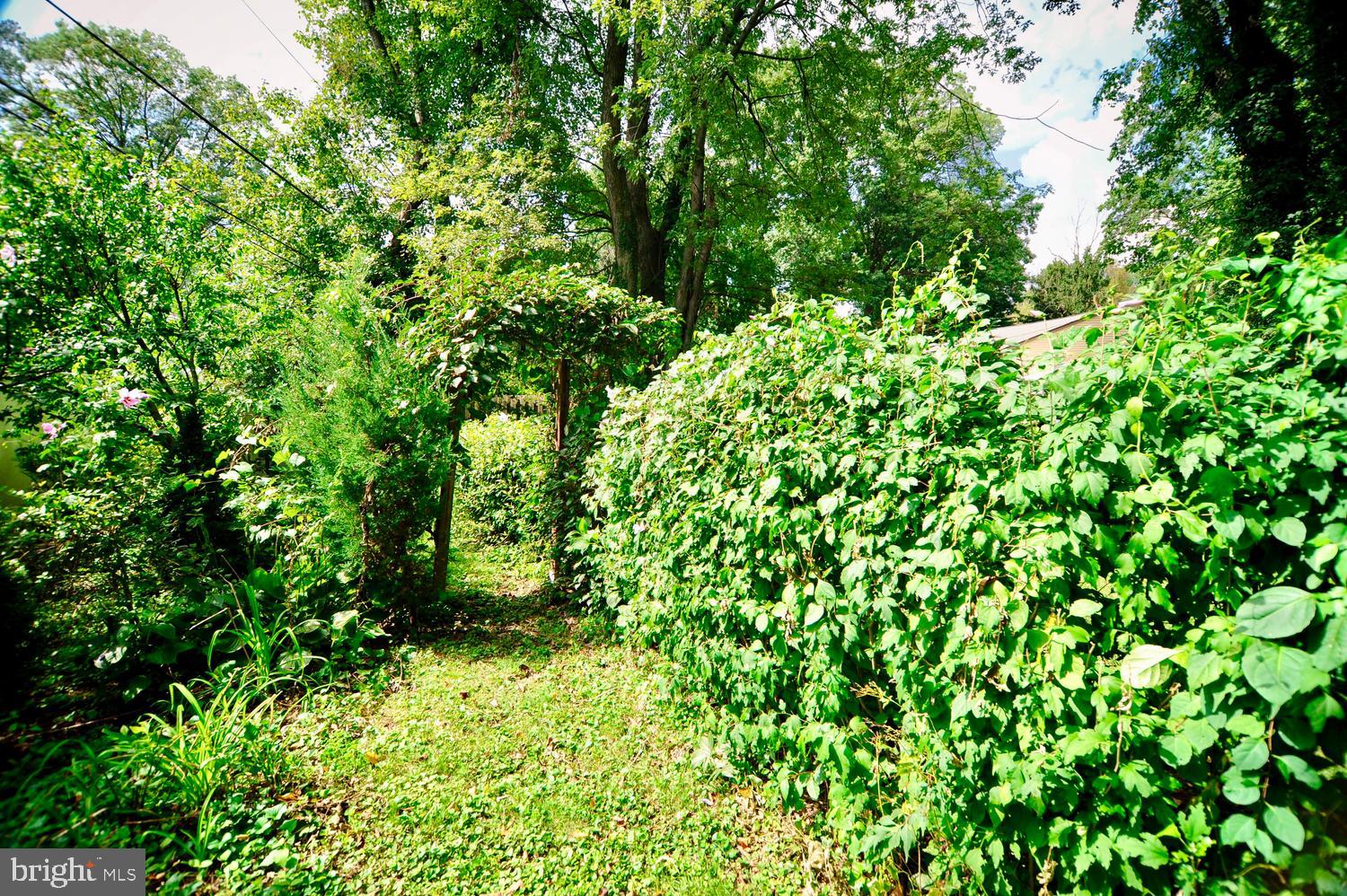 2360 Byberry Road Hatboro, PA 19040 - Photo 23 of 26 Back Yard