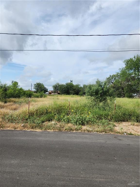 706 1st Street Sullivan City, TX 78595 - Photo 2 of 3 View of asphalt street