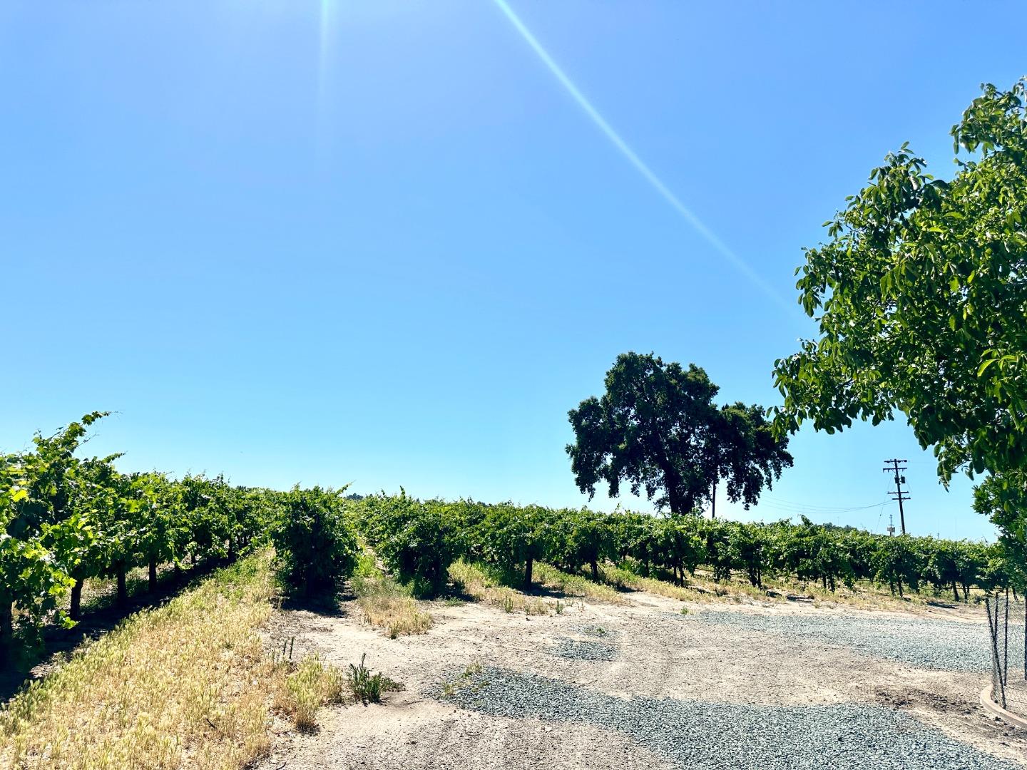 19025 Devries Road Lodi, CA 95242 - Photo 10 of 41