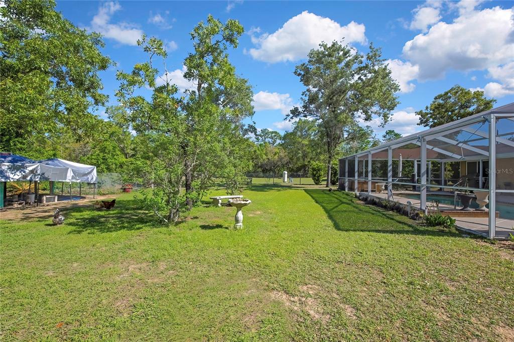 15157 Duck Hawk Road Weeki Wachee, FL 34614 - Photo 40 of 48 a view of house with swimming pool and yard