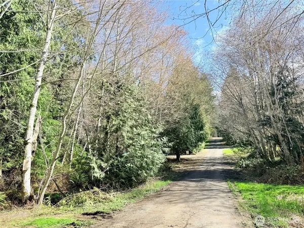 a view of a yard with plants and trees