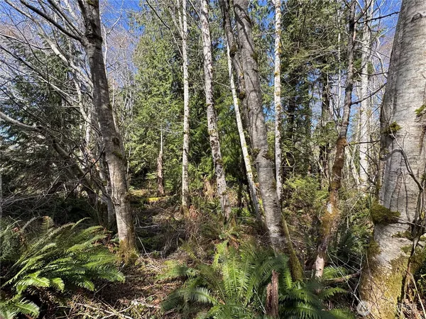 a map view of location