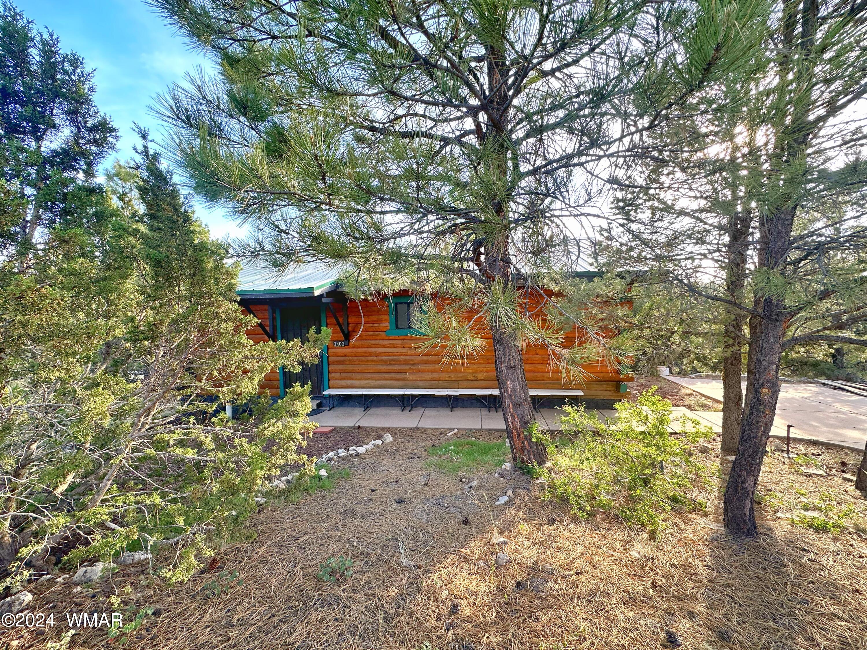3403 Top View Road Overgaard, AZ 85933 - Photo 2 of 19