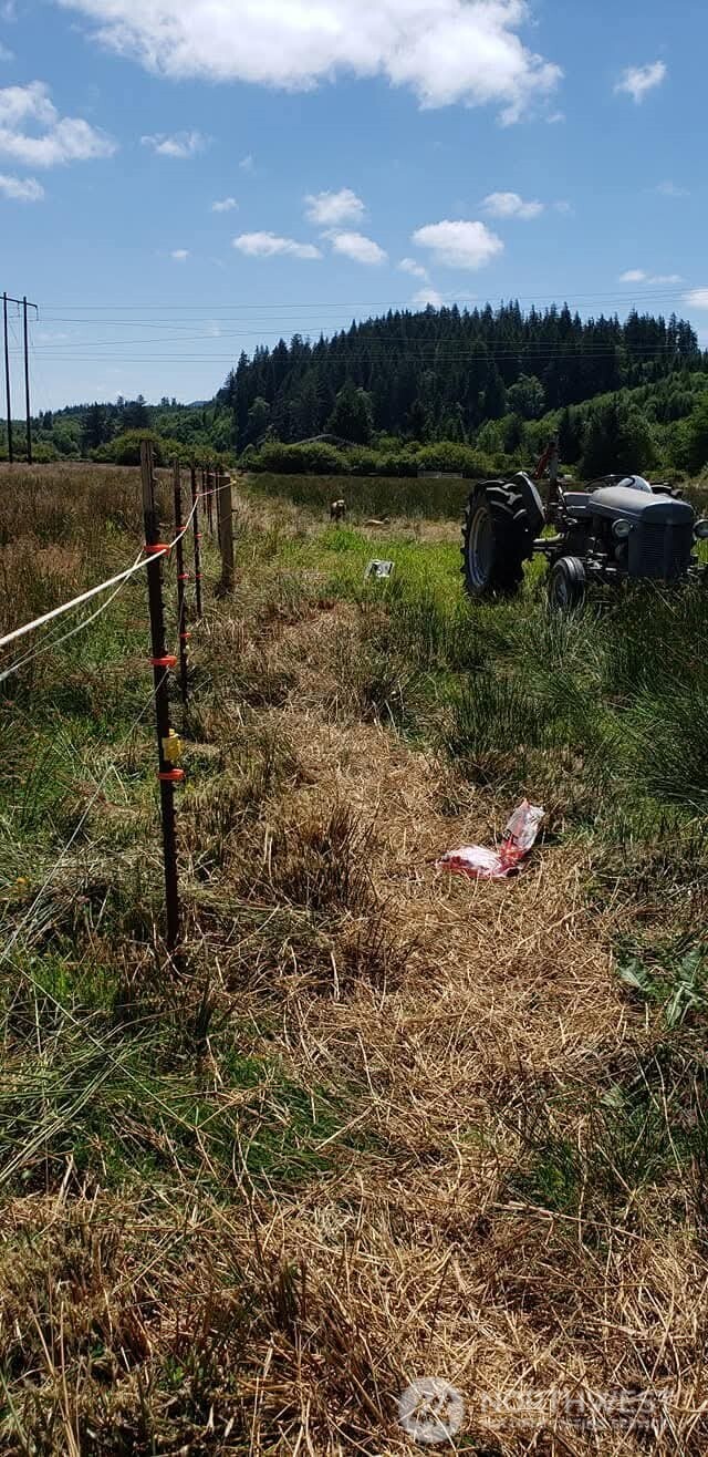 468 Parpala Road Naselle, WA 98638 - Photo 12 of 18