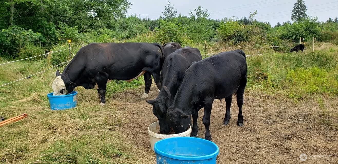 468 Parpala Road Naselle, WA 98638 - Photo 14 of 18